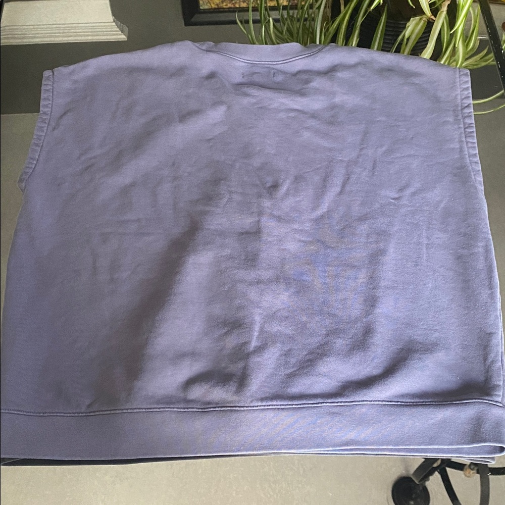 Madewell Lavender Sleeveless Sweatshirt Top - Picture 2 of 6
